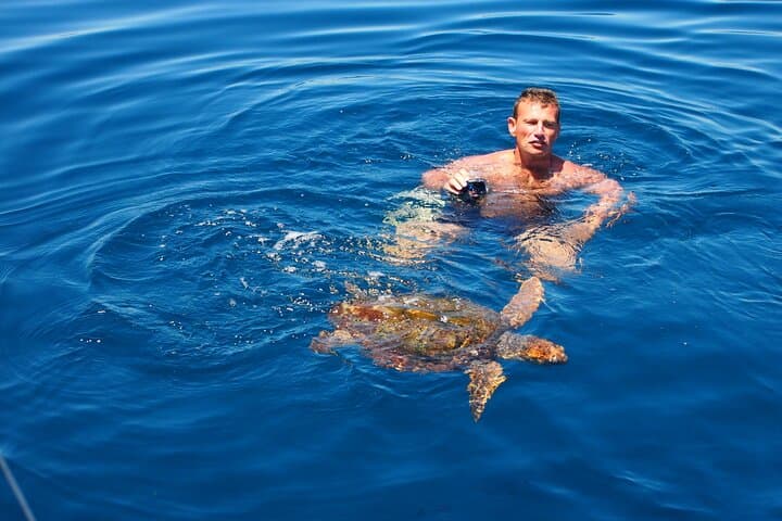 Swimming with a turtle