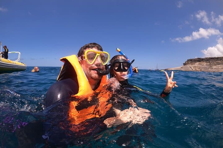 Tenerife Snorkeling Tour in turtle habitat