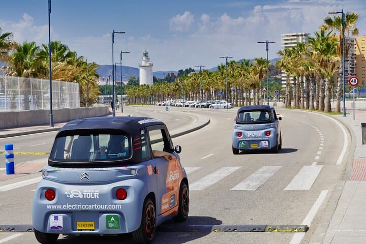 Malaga Highlights by Electric Car with Port Pick up