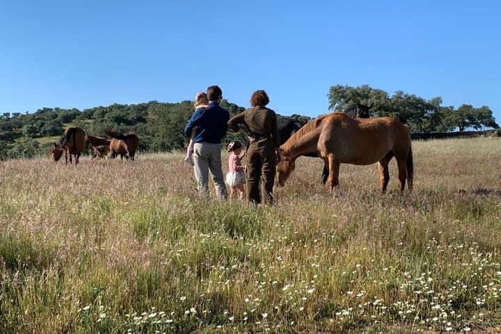 Dehesa La Cepera.
