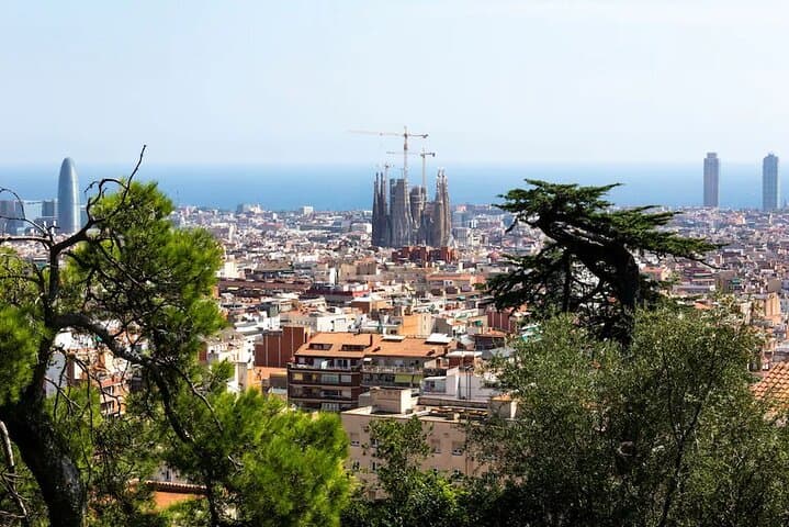Barcelona Gaudi's Park Güell Private Guided Walking Tour