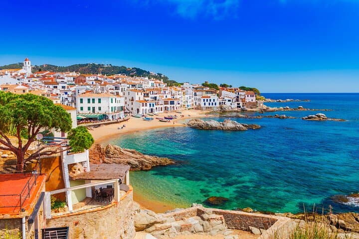Barcelona Old Town Private Walking Tour with Cruise Tickets