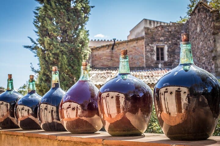 Barcelona Wine Tasting Private Tour with Wine Expert