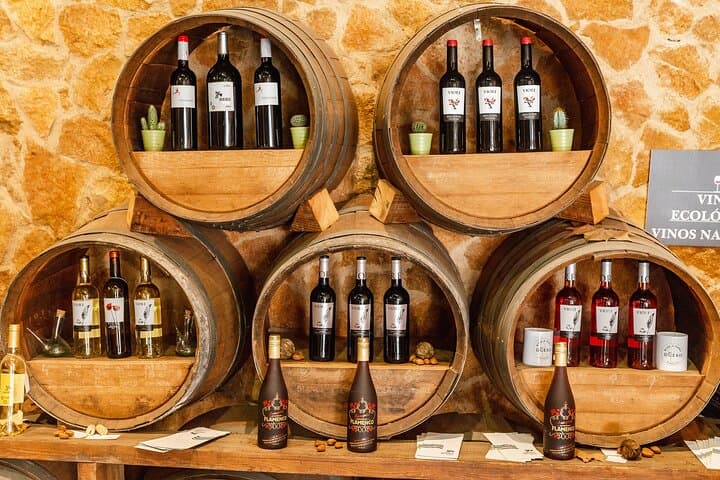 Barcelona Wine Tasting Private Tour with Wine Expert