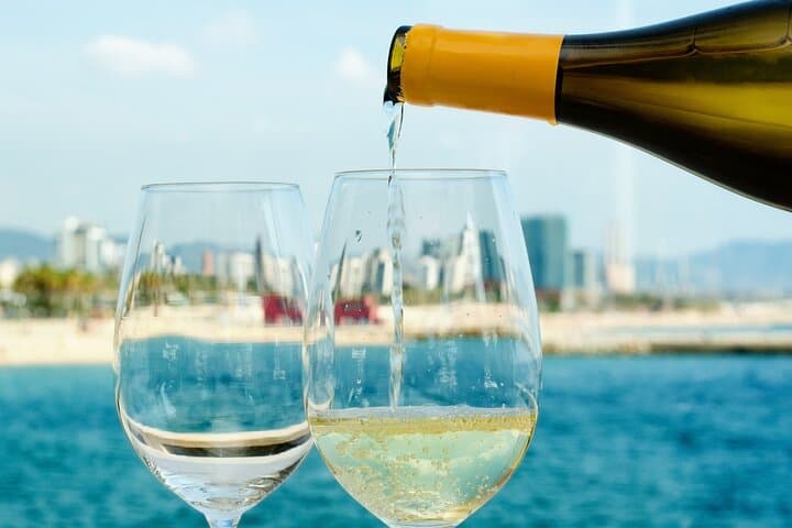 Barcelona Wine Tasting Private Tour with Wine Expert