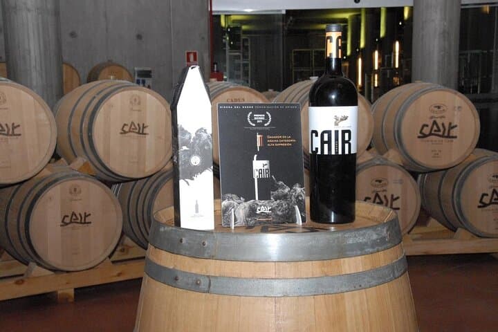 Private Wine Tasting And Visit Tour in Ribera Duero