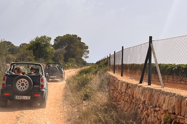 Self Drive 4x4 Off Road Jeepsafari Tour Mallorca