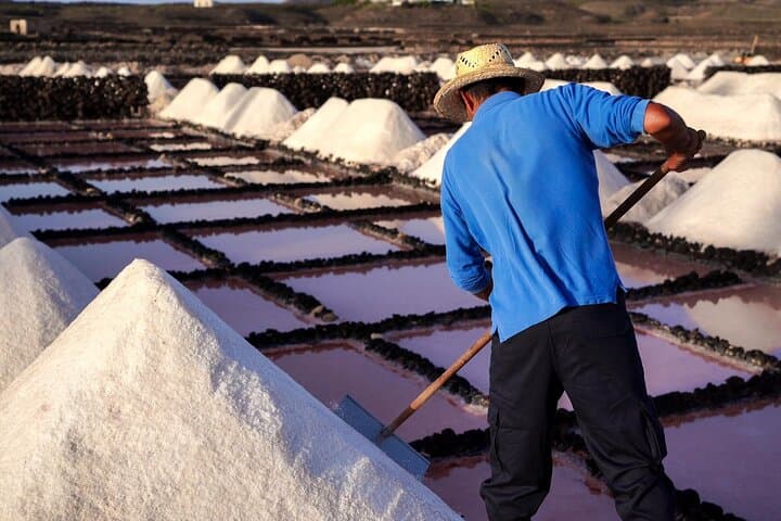 Private and Guided Tour to the Salinas de Janubio with Tasting