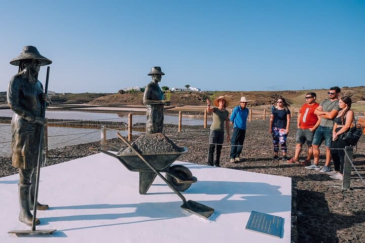 Private and Guided Tour to the Salinas de Janubio with Tasting