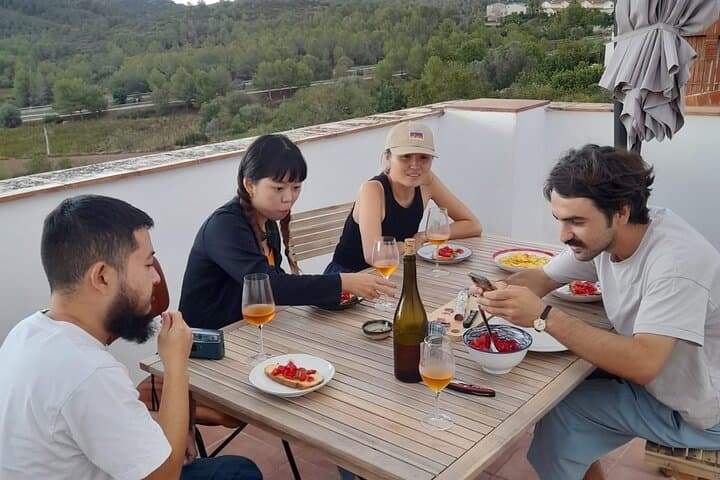Small-Group Natural and Organic Wine Tasting near Sitges