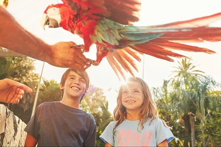 Barcelona Arrival Private transfer PortAventura Park