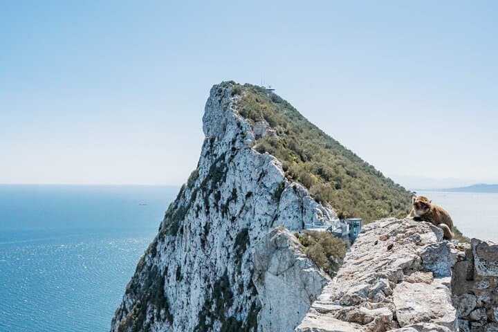 From Malaga, Gibraltar excursion with transport