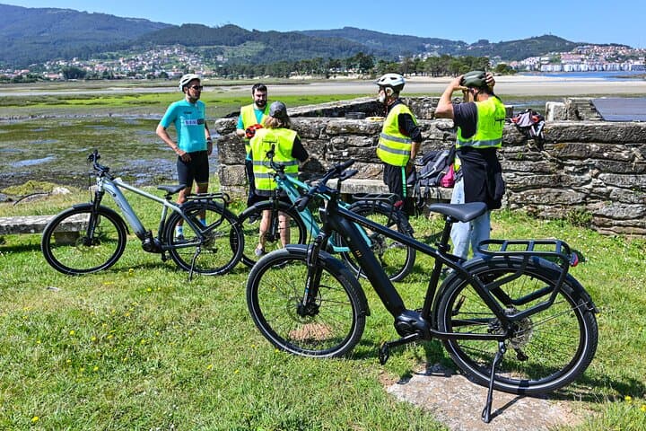 Choose the electric bike that you like the most and start pedaling