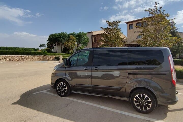 Private Wine Tasting And Visit Tour in Ribera Duero