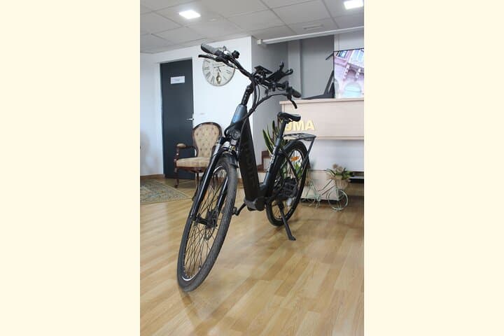 rent E-Bikes for a Day