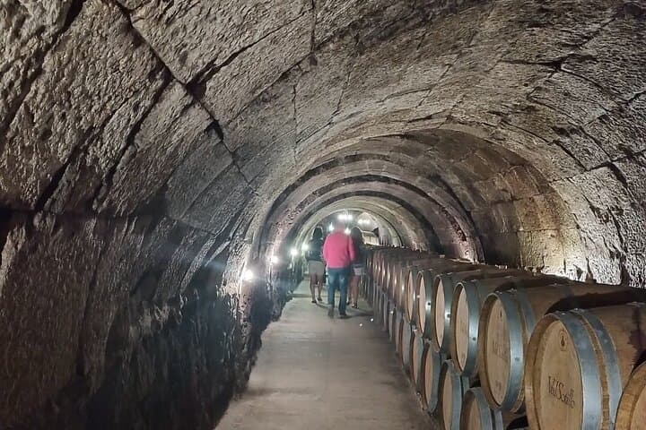 Private Wine Tasting And Visit Tour in Ribera Duero
