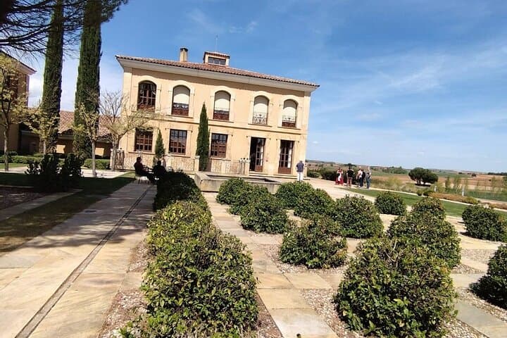 Private Wine Tasting And Visit Tour in Ribera Duero