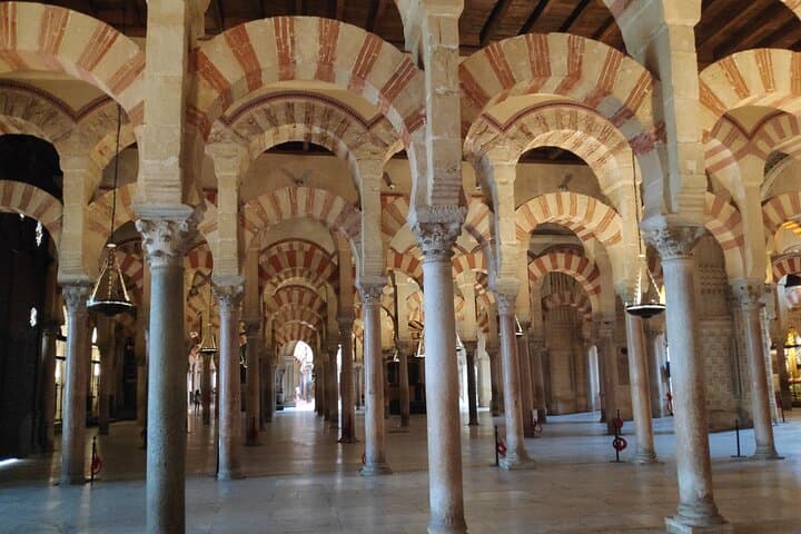 forest of columns