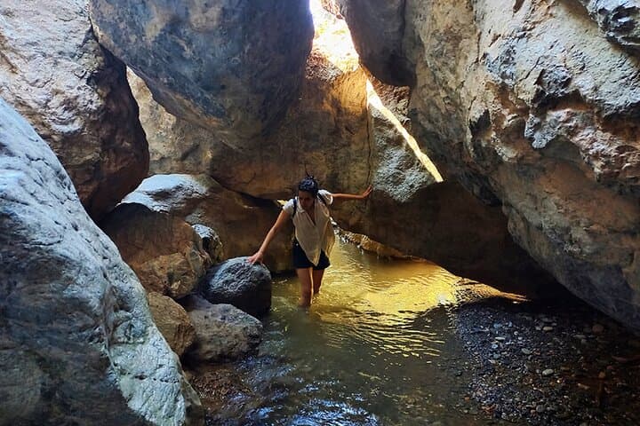 NEW: Sierra Nevada Private Canyon Hiking Adventure with pup