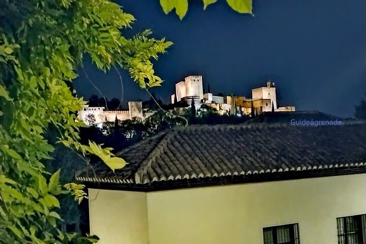 Alhambra Private Tour: Nasrid Palaces and Generalife