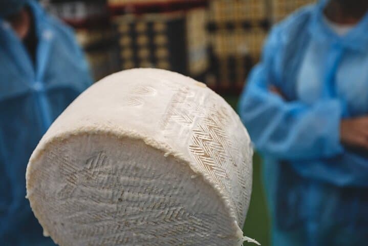Visit La Antigua Cheese Factory (Cheese Tourism)