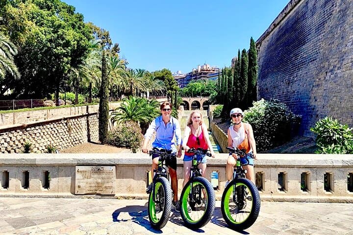 Exclusive Fat Tire E-Bike Tour in Palma