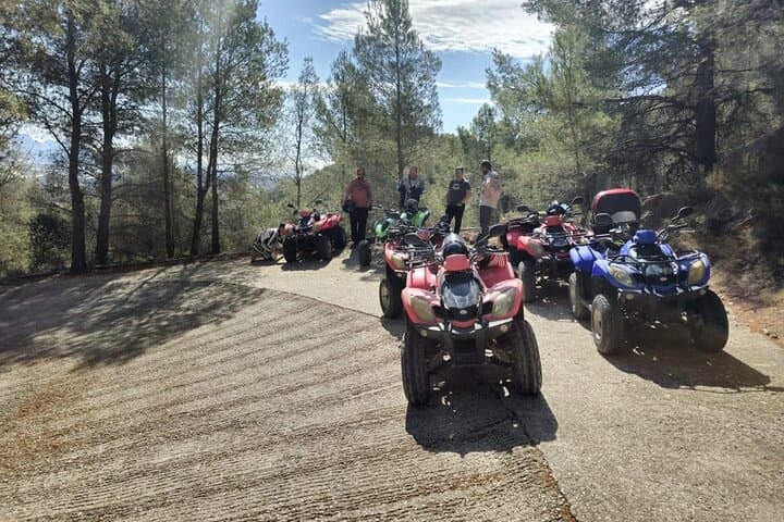 1 Hour Quad / ATV Tour through the Altea Jungle