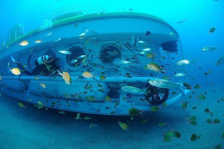Marinelife around submarine