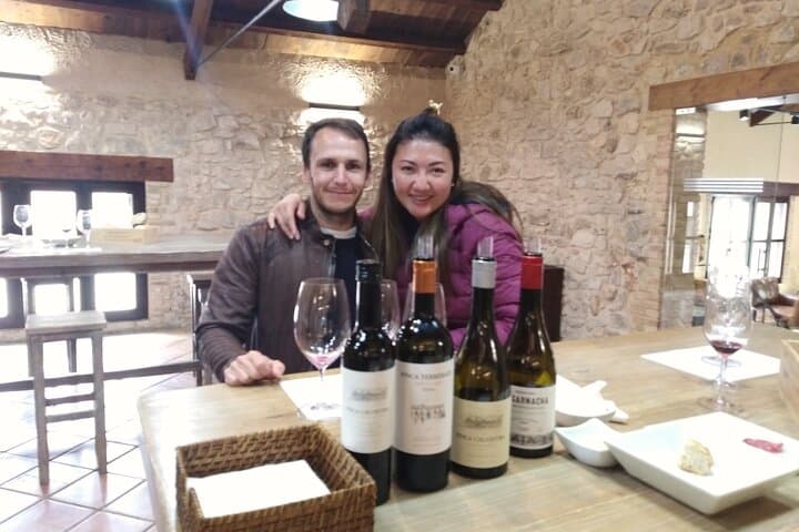 Pago Vineyards & Premium Wines 1/2 Day Requena -Private