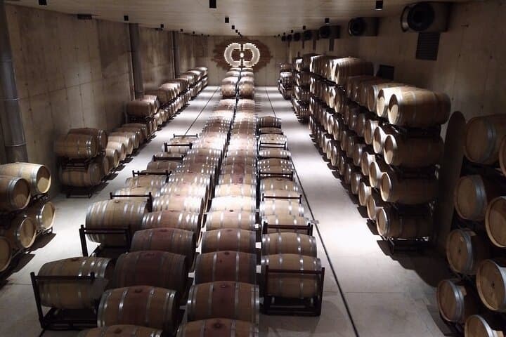 Pago Vineyards & Premium Wines 1/2 Day Requena -Private