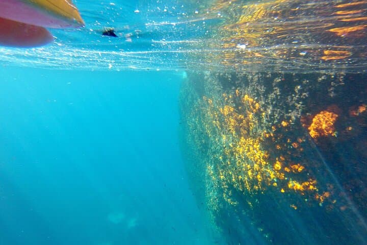Maro Snorkel