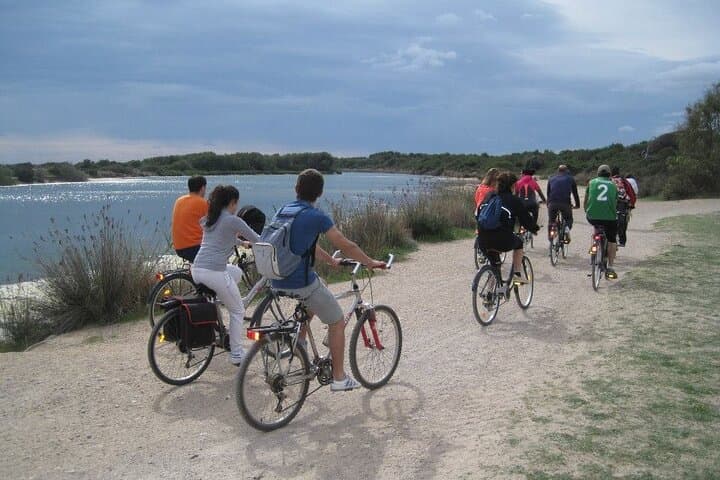 Valencia: Road to La Albufera Private Bike Tour
