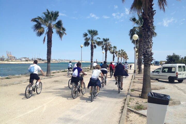 Valencia: Road to La Albufera Private Bike Tour
