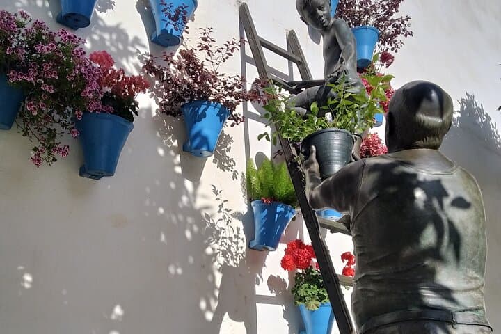 Discover the Patios de Córdoba: guided tour