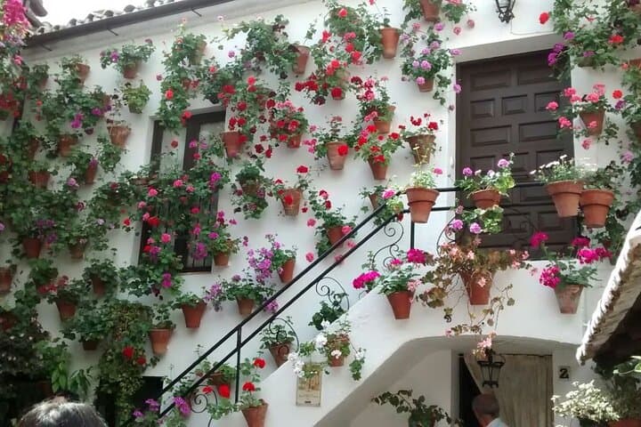 Discover the Patios de Córdoba: guided tour