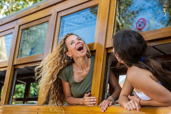 Mallorca in One Day Sightseeing Tour with Boat Ride and Vintage Train