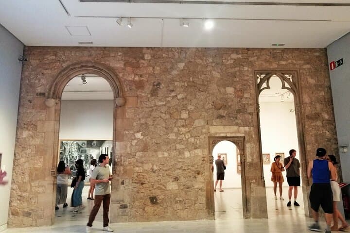 Barcelona Picasso Museum and Walking Tour
