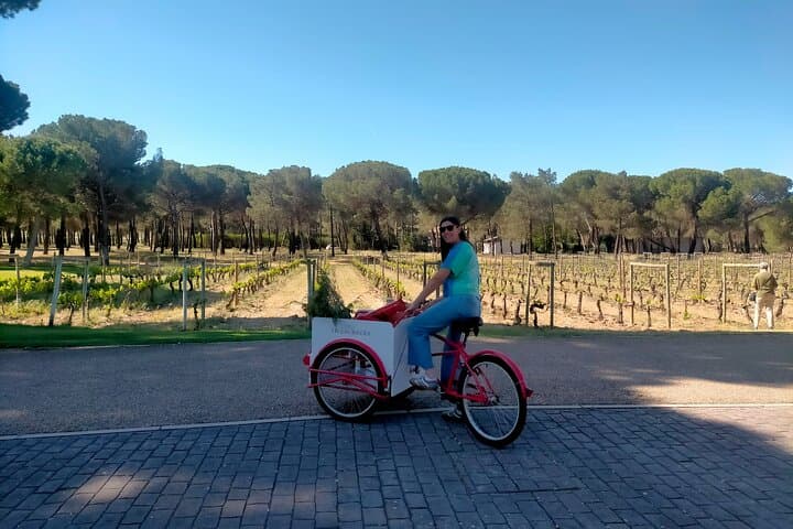 Ribera del Duero Wine Tour from Madrid with 3 Wineries & Lunch