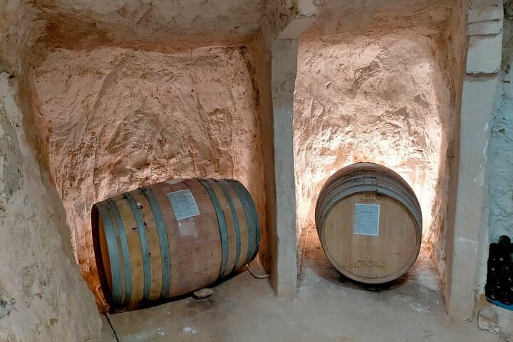 Ribera del Duero Wine Tour from Madrid with 3 Wineries & Lunch
