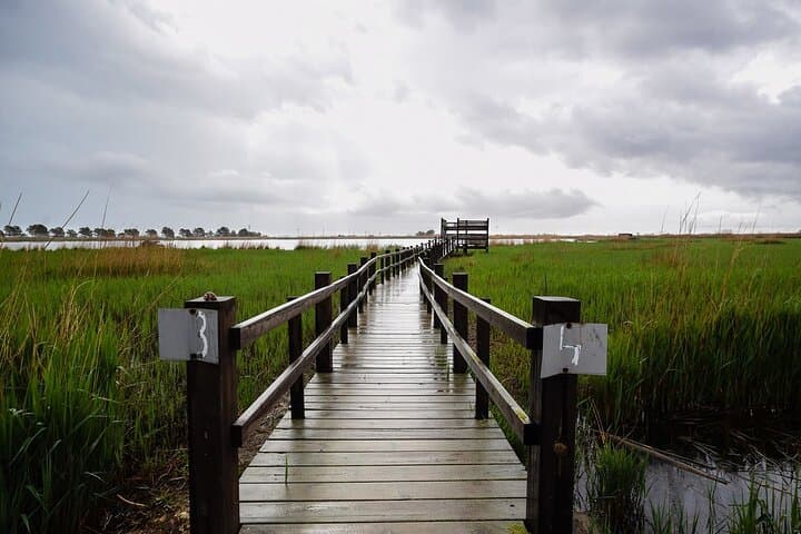 Bird Watching Tour in the Ebro Delta