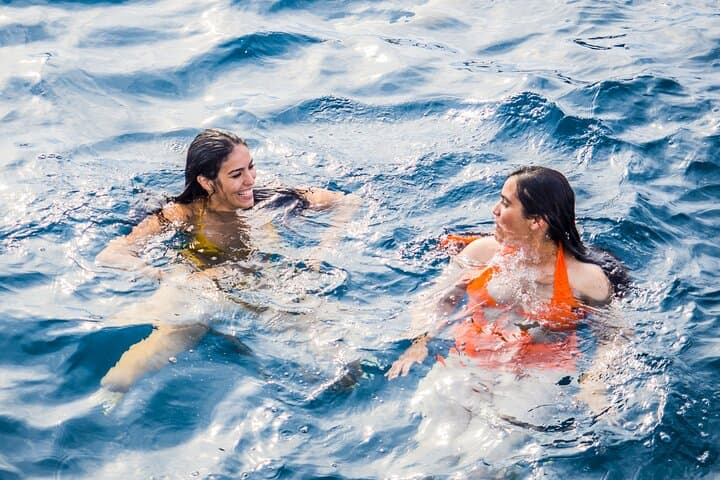 Excursion to the Cova Tallada with optional swimming stop Denia