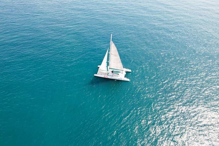 A day at Sea aboard Mundo Marino Catamaran in Valencia