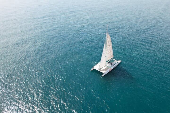 A day at Sea aboard Mundo Marino Catamaran in Valencia