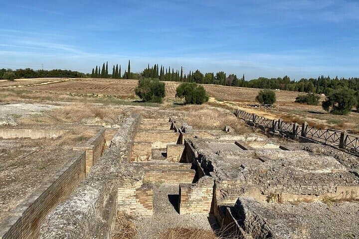 Private hald day tour to the historic roman city of Italica
