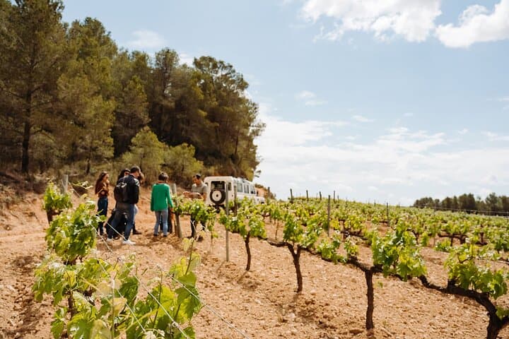 Full-Day Trip Barcelona to Montserrat Monastery & Cava Winery