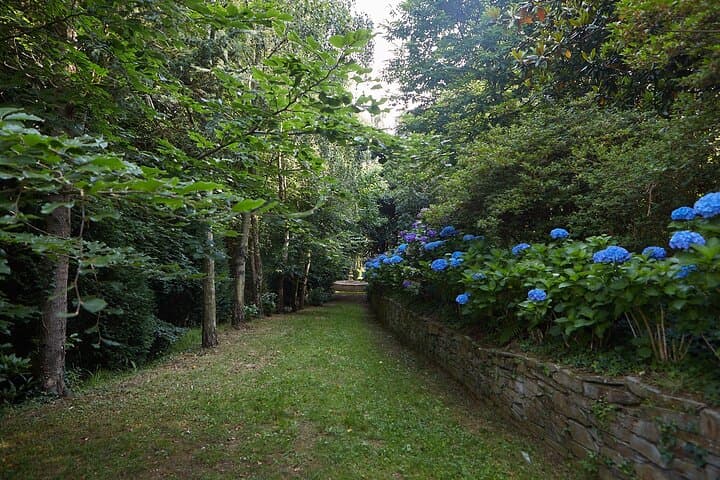 Magical and Exclusive Private Visit to the Fonte Baxa Garden, Luarca