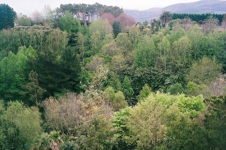 Magical and Exclusive Private Visit to the Fonte Baxa Garden, Luarca