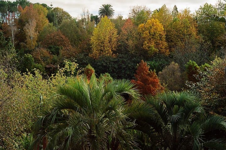 Magical and Exclusive Private Visit to the Fonte Baxa Garden, Luarca