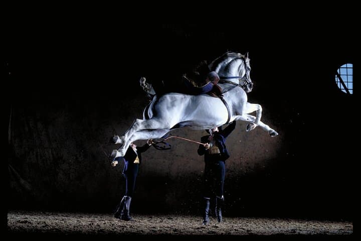 Andalusian Horses Dance Show