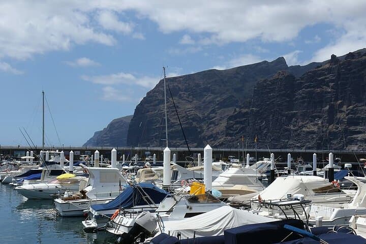 6-Hour Private Tour of Tenerife in a Luxury Vehicle